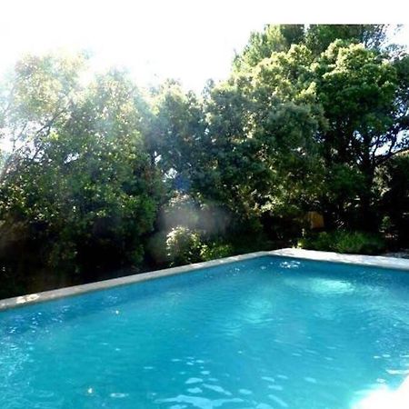 Studio En Rez-De-Jardin Arbore Avec Acces Piscine Et Clim Villeneuve-les-Avignon Bagian luar foto