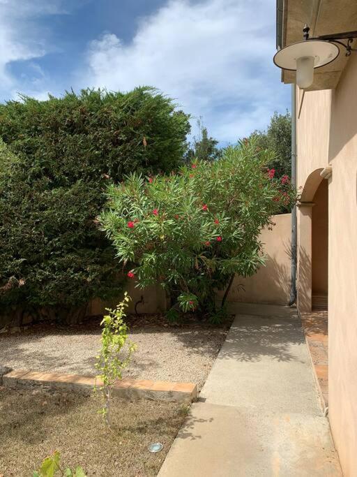 Studio En Rez-De-Jardin Arbore Avec Acces Piscine Et Clim Villeneuve-les-Avignon Bagian luar foto
