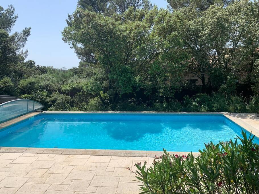 Studio En Rez-De-Jardin Arbore Avec Acces Piscine Et Clim Villeneuve-les-Avignon Bagian luar foto