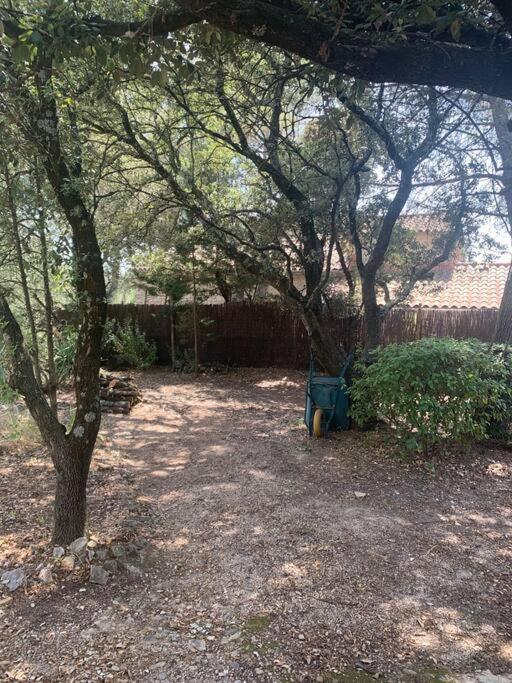 Studio En Rez-De-Jardin Arbore Avec Acces Piscine Et Clim Villeneuve-les-Avignon Bagian luar foto
